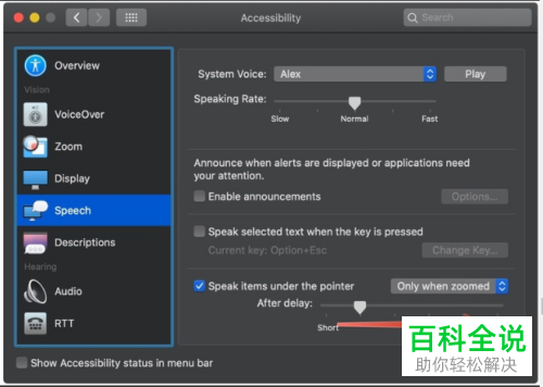如何管理MacBook苹果电脑中缩放功能的语音选项