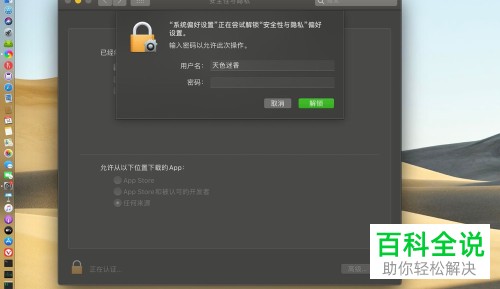 如何给苹果Mac电脑设置允许任何来源