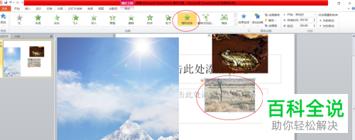 如何给PPT中的图片设置一个一个显示