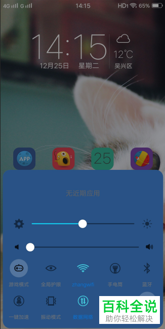如何给VIVO手机设置静态IP地址