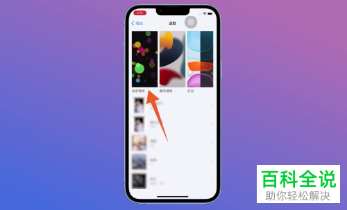 如何给iPhone手机选取动态壁纸
