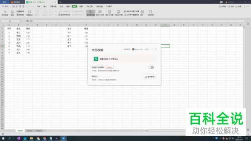 如何给WPS文档设置私密文档保护