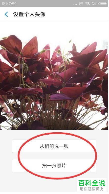 如何更换支付宝的个人头像