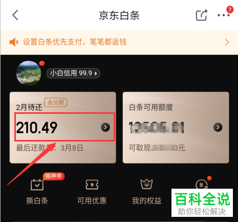 如何给京东白条中的借款进行提前还款
