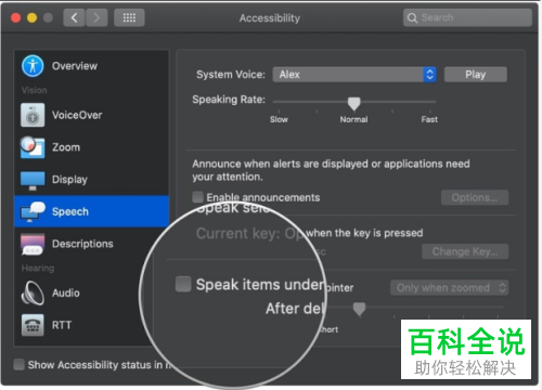 如何管理MacBook苹果电脑中缩放功能的语音选项
