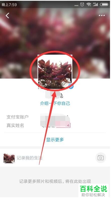 如何更换支付宝的个人头像