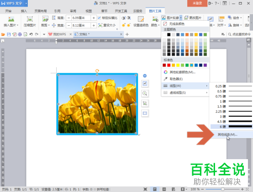 如何给电脑版WPS的图片添加边框
