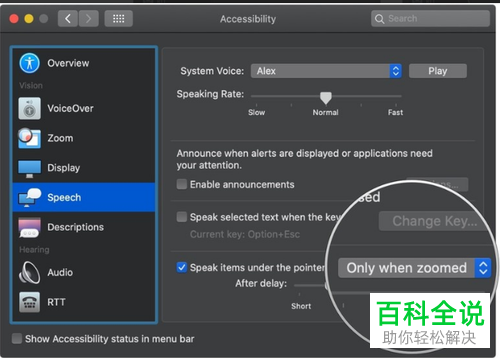 如何管理MacBook苹果电脑中缩放功能的语音选项