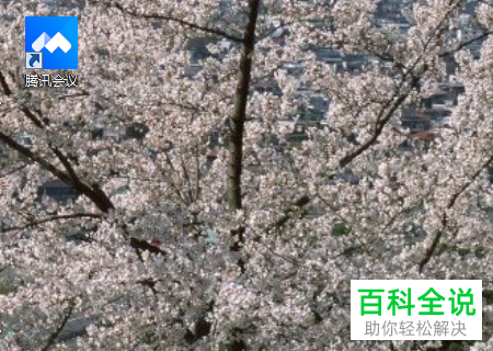 如何给电脑版的腾讯会议设置共享屏幕