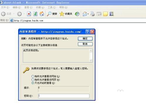 如何给浏览器设置一个密码