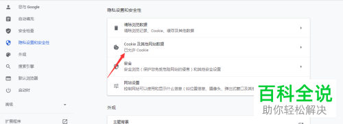 如何管理电脑版谷歌浏览器中保存的cookie信息