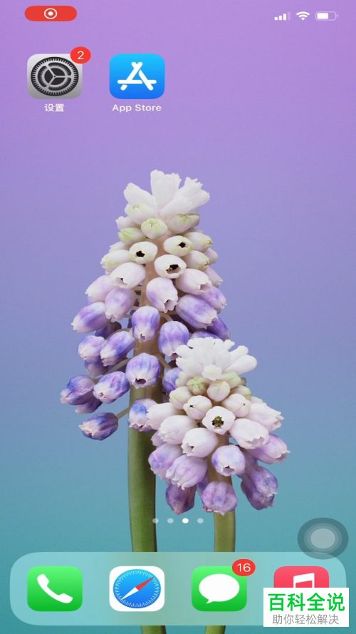 如何更改Apple ID密码