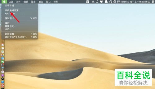 如何给苹果Mac电脑设置允许任何来源