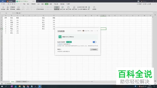 如何给WPS文档设置私密文档保护