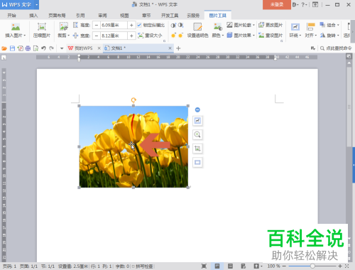 如何给电脑版WPS的图片添加边框