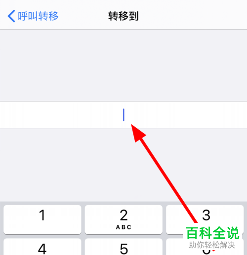 如何给苹果iPhone手机设置呼叫转移到别的手机上