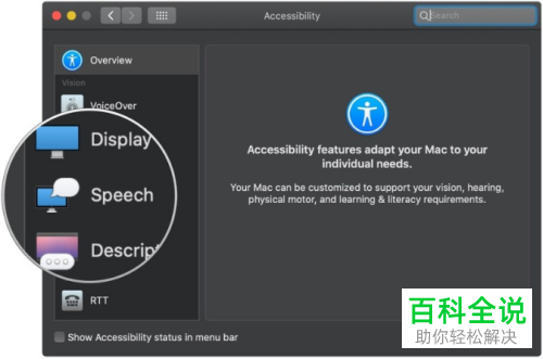 如何管理MacBook苹果电脑中缩放功能的语音选项