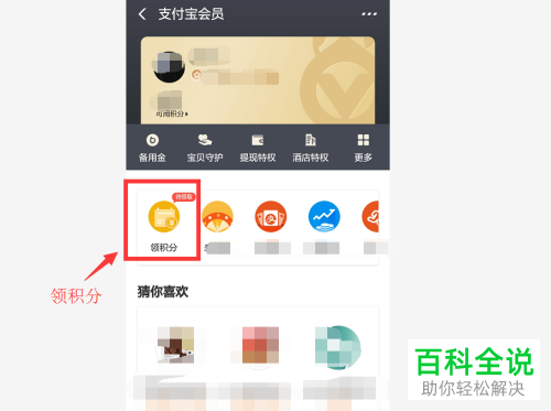 如何获取支付宝会员积分