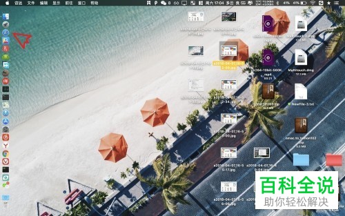 如何解决Mac电脑Safari浏览器无法访问网页问题