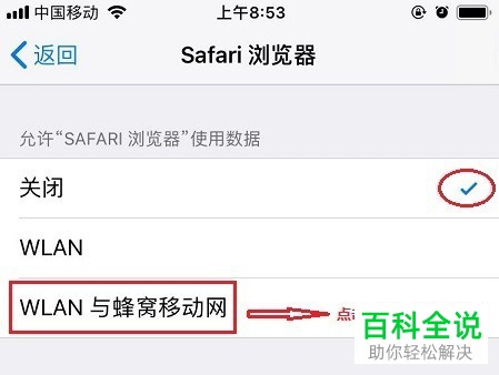 如何解决iPhone手机Safari浏览器无法上网问题