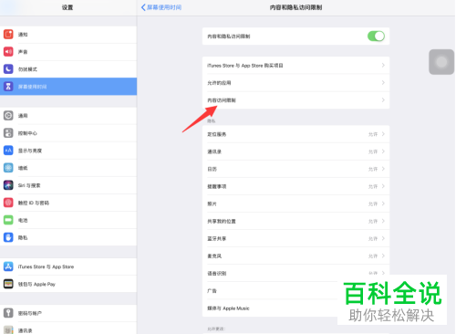 如何将iPad Pro应用访问限制设置为17+