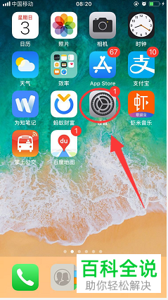 如何解决苹果手机中的无法打开移动网络问题?