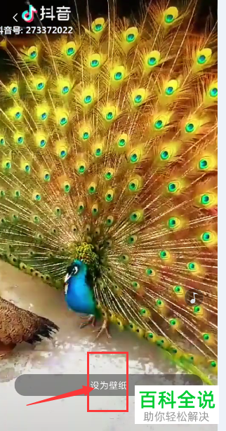 如何将抖音app中的视频设置为手机动态锁屏?