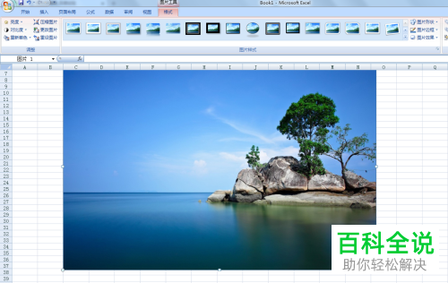 如何将图片添加到Excel表格中?