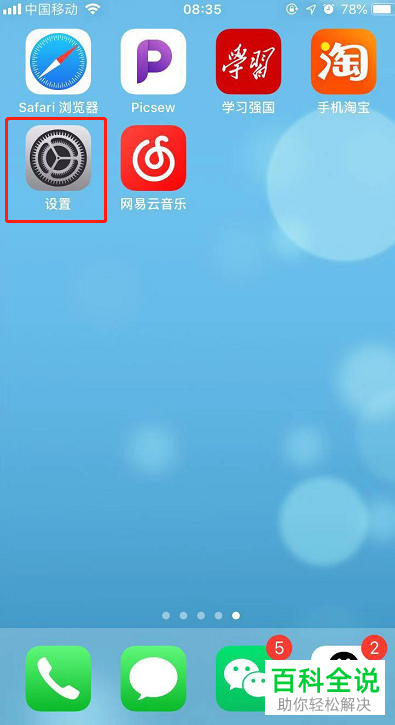 如何解决苹果手机Safari浏览器无法访问网页问题