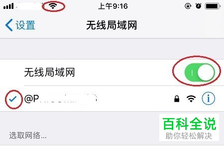 如何解决iPhone手机Safari浏览器无法上网问题