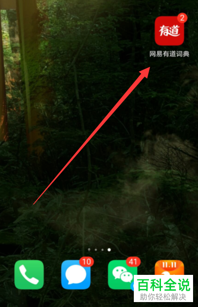 如何禁止网易有道词典的儿童访问限制中的网页翻译