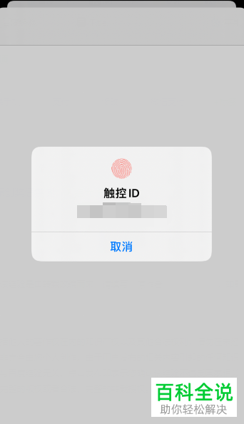 如何将苹果iPhone手机中的支付方式设置为微信支付