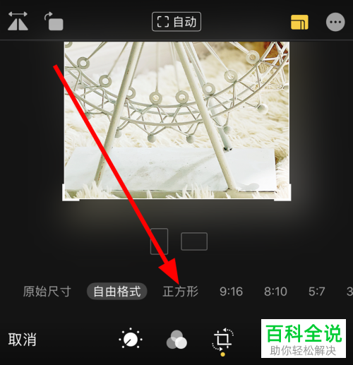 如何将苹果手机iPhone11中照片的形状设置为正方形