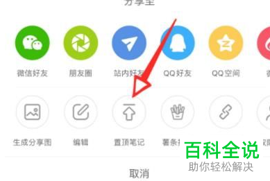 如何将小红书中的笔记设为置顶