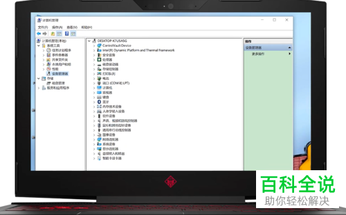 如何解决Win10系统电脑中的鼠标失灵问题