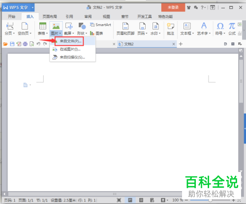 如何将带阴影的图片插入到WPS中？
