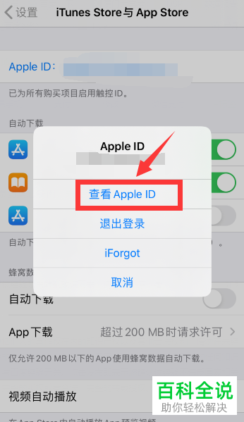 如何将苹果iPhone手机中的支付方式设置为微信支付