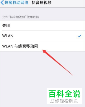 如何解决iPhone手机无法使用移动数据播放抖音视频问题