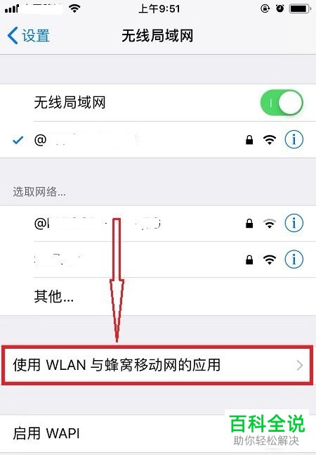 如何解决iPhone手机Safari浏览器无法上网问题