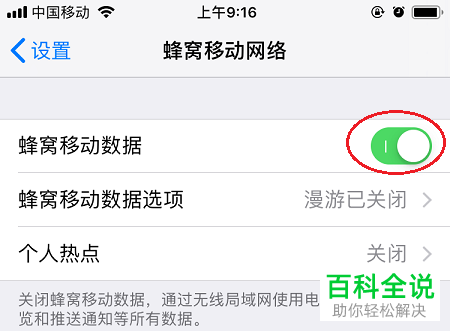 如何解决iPhone手机Safari浏览器无法上网问题