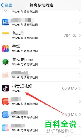 如何解决iPhone手机无法使用移动数据播放抖音视频问题