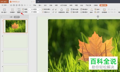 如何将PPT文档中的图片裁剪为三角形