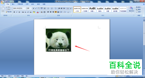 如何解决word图片插入之后仅显示一个边框的问题?
