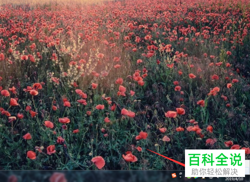 如何解决电脑可以上网但是打不开浏览器的问题？