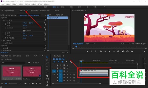 如何解决Pr导出视频时有黑边问题