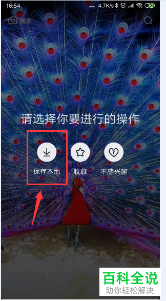 如何将抖音app中的视频设置为手机动态锁屏?