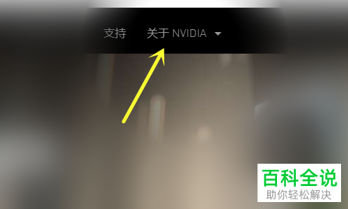 如何解决电脑打不开NVIDIA控制面板问题