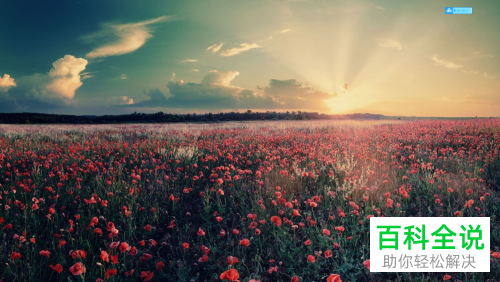 如何将win7系统中消失的桌面图标找回