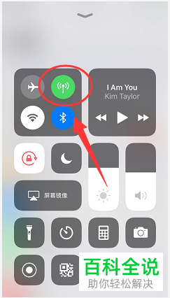 如何解决苹果手机中的无法打开移动网络问题?