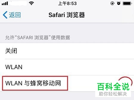 如何解决iPhone手机Safari浏览器无法上网问题